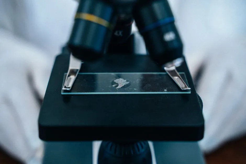 In Vitro vs. In Vivo: What Each Term Means